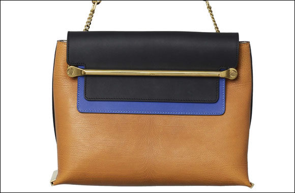 Introducing Clare bags by Chlo�