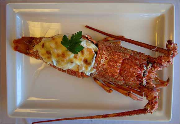 Celebrate This Valentine's Day With Your Family At Rainbow Steak House