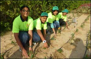 Green Hope UAE celebrates National Environment Day!