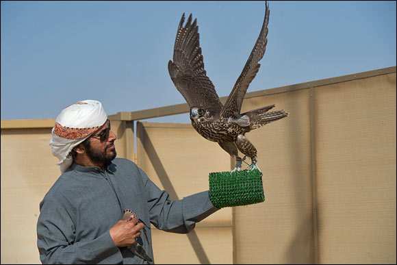 Hamdan Bin Mohammed Heritage Center awards champions in grand closing ceremony of Fazza Championships for Falconry