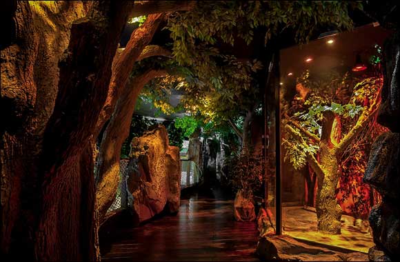 New Arabian adventure opens doors to visitors at Dubai Aquarium & Underwater Zoo