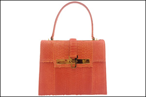 Alice in Tehran bag by Amanda Navai