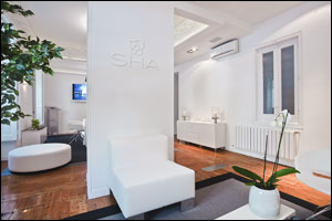 SHA Loft - SHA's Home in Madrid
