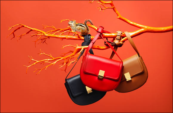 Tis the Season to Be Jolly With C. Wonder