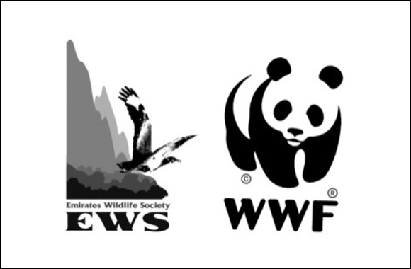 Emirati NGO Named One of Top 5 Environmental Education Programmes in the Region