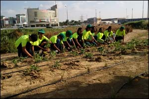 Green Hope UAE planted 43 saplings to commemorate the 43rd UAE National Day