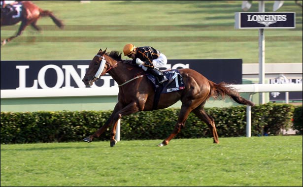 Just A Way honoured as the 2014 Longines World's Best Racehorse