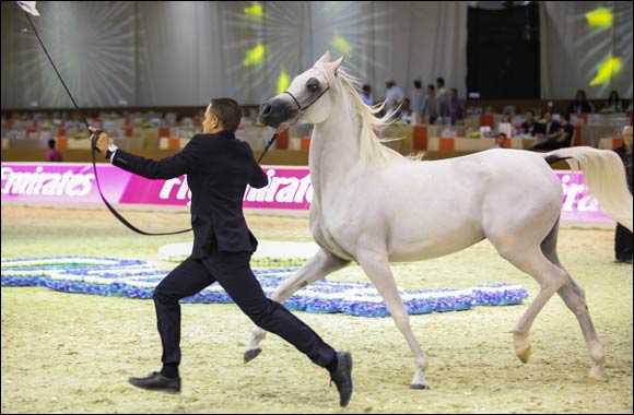 Dubai International Horse Fair and Dubai International Arabian Horse Championship open tomorrow