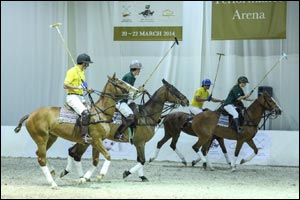Dubai International Horse Fair and Dubai International Arabian Horse Championship open tomorrow