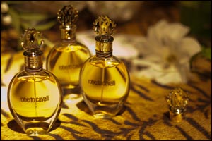 Roberto Cavalli Signature