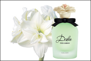Dolce Floral Drops by Dolce&Gabbana