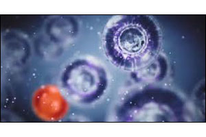 ��� �� ���� ���� ����� ���� ������� ����� ������