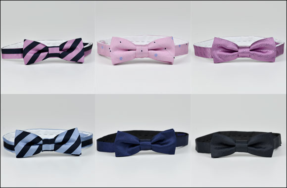 The Pink Bow Tie, A Story by Eden Park