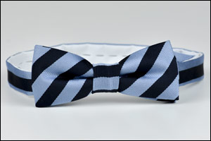 The Pink Bow Tie, A Story by Eden Park